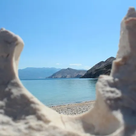 Capic Niko Apartman *