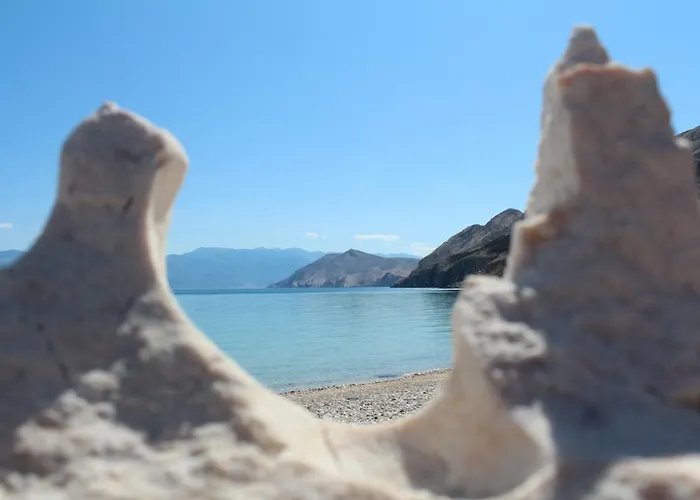 Capic Niko Apartment *