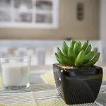 Capic Niko Apartament