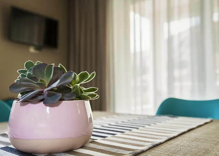 아파트 Capic Niko 바슈카