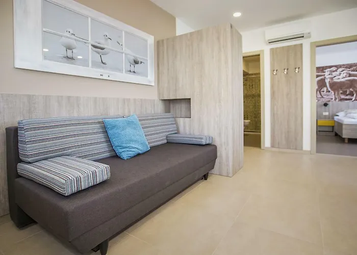 Capic Niko * 바슈카